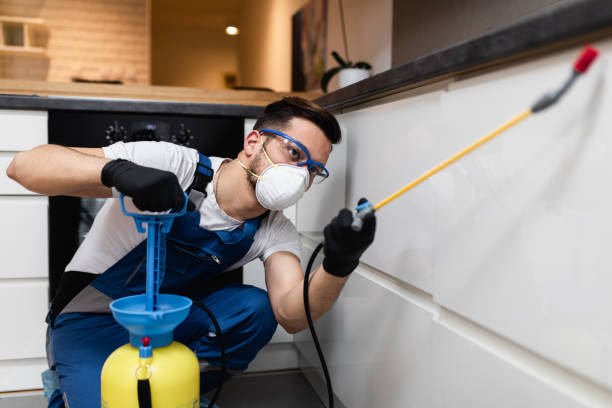 Best Rat Extermination Near Me  in Allendale, CA