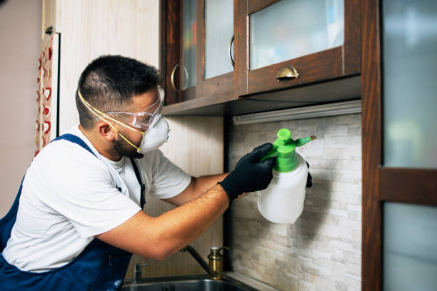 Best Pest Prevention Services  in Allendale, CA
