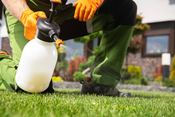 Best Affordable Pest Control Services  in Allendale, CA