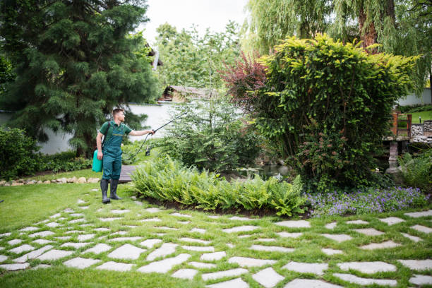 Best Mosquito Control Services  in Allendale, CA