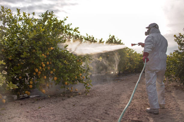  Allendale, CA Pest Control Pros