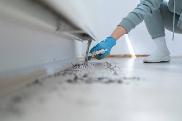 Best Affordable Pest Control Services  in Allendale, CA