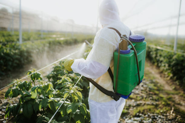 Best Emergency Pest Control  in Allendale, CA